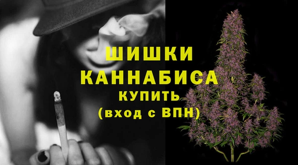 прущие крисы Корсаков