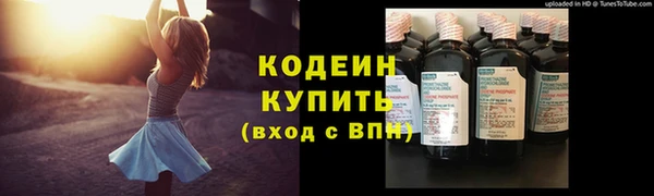 прущие крисы Корсаков