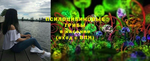 spice Всеволожск