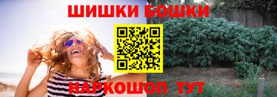 амф Гусев