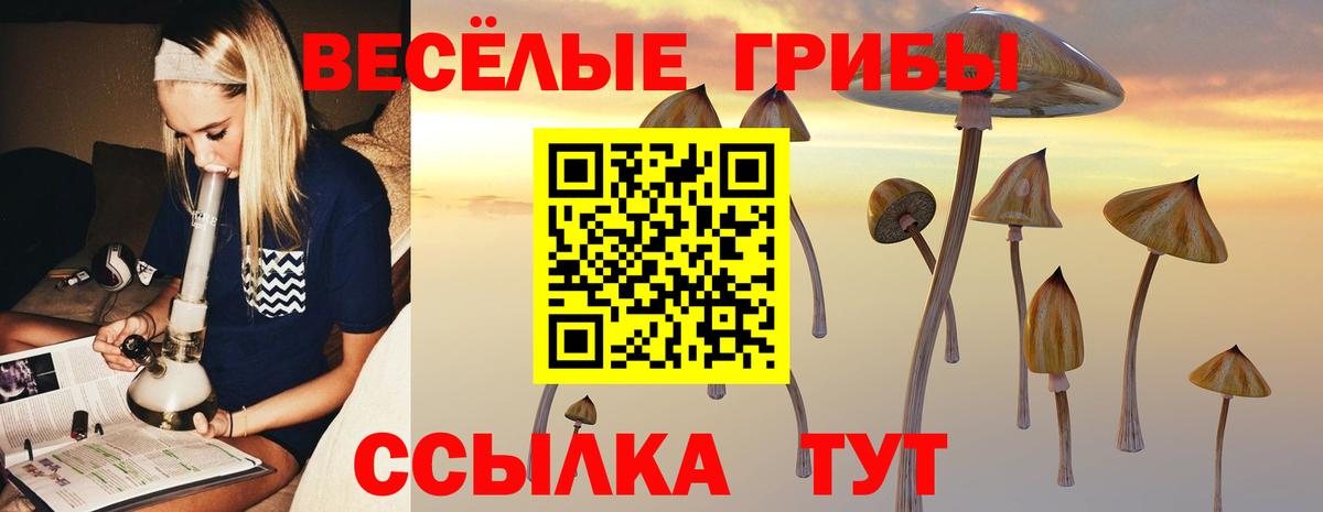 Галлюциногенные грибы Magic Shrooms Кизилюрт