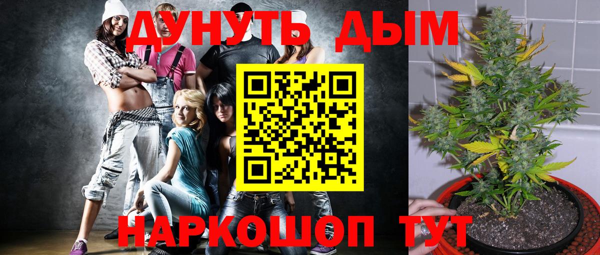 Бошки Шишки ГИДРОПОН Кизилюрт